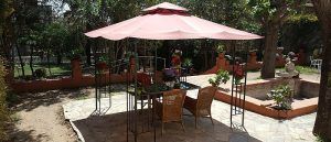 Residencia El Meu Jardí comer en el jardín