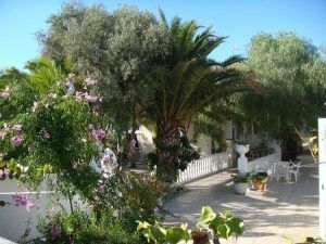Residencia Tercera Edad Julia patio arbolado