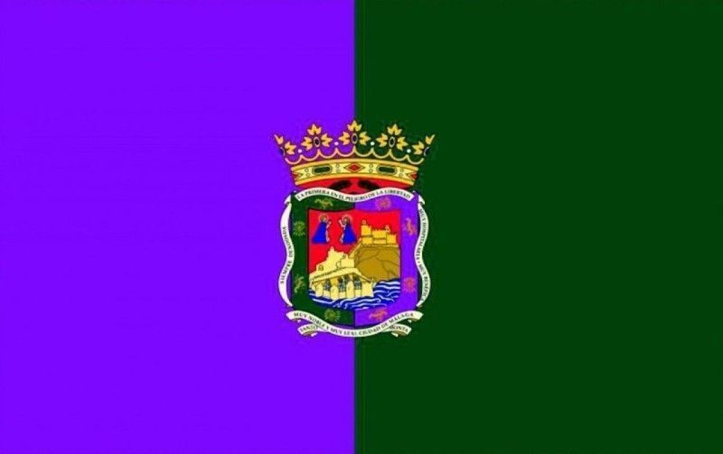 Málaga Ayuntamiento Ley de dependencia