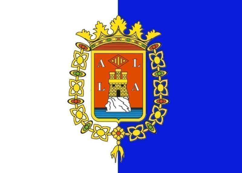 Alicante Ayuntamiento Ley de dependencia
