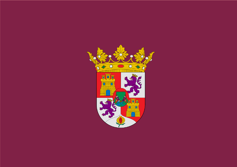 Puerto Real Ayuntamiento Ley de dependencia