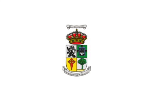 San Bartolomé de Tirajana Ayuntamiento Ley de dependencia