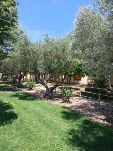 Centro de Día Hontanar del Jarama en Torremocha del Jarama
